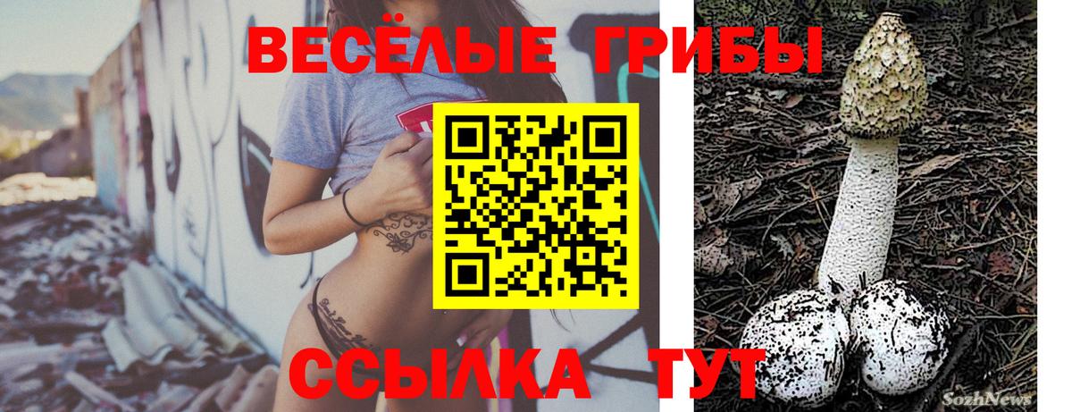 купить наркоту  Вход с VPN  Сунжа  Галлюциногенные грибы Cubensis 