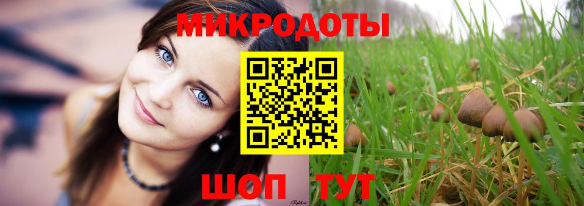 Галлюциногенные грибы прущие грибы Сунжа